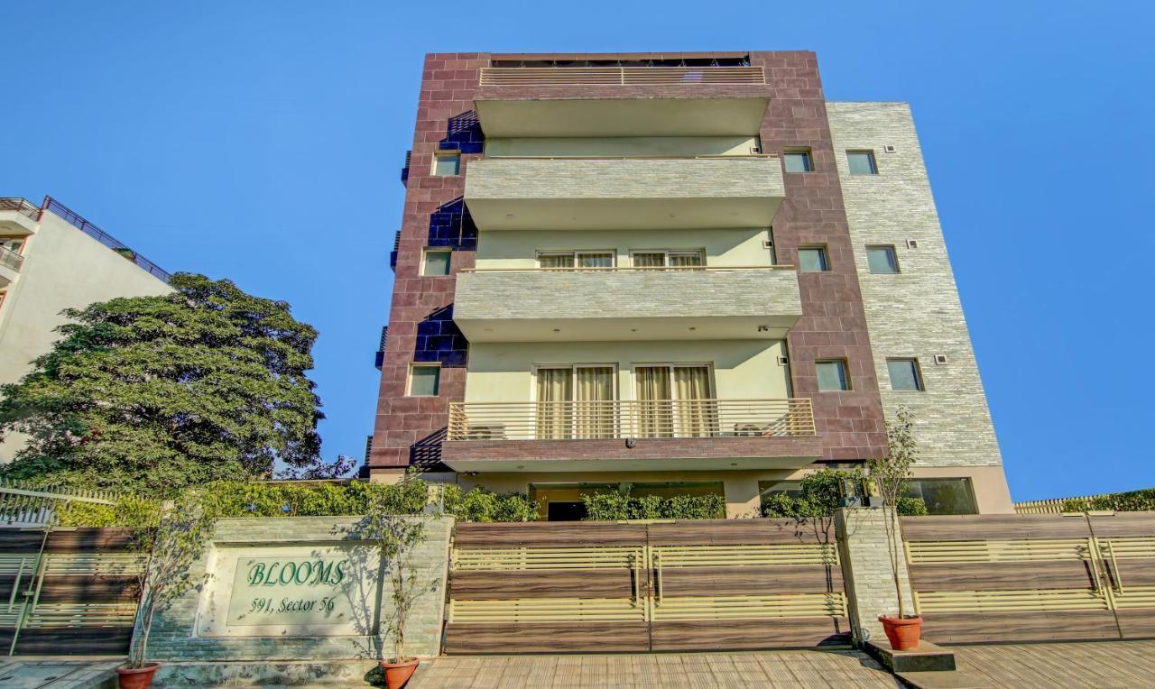 Treebo Trend Blooms Premium Hotell Gurgaon Exteriör bild